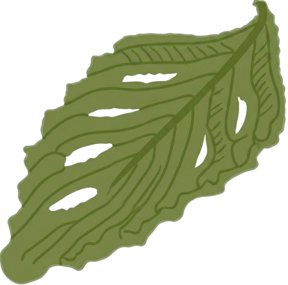 feuille en arrière plan