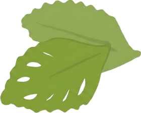 feuilles en arrière plan